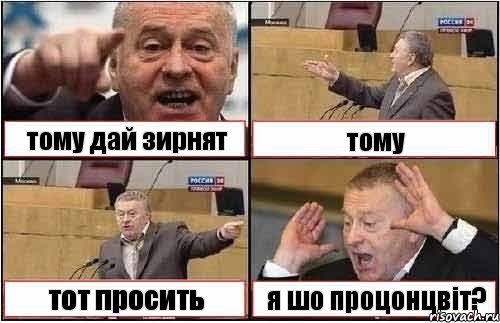 тому дай зирнят тому тот просить я шо процонцвіт?, Комикс жиреновский