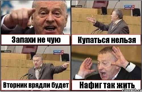 Запахи не чую Купаться нельзя Вторник врядли будет Нафиг так жить, Комикс жиреновский