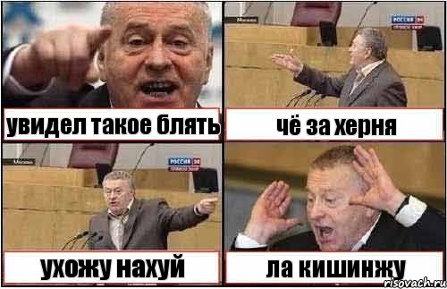 увидел такое блять чё за херня ухожу нахуй ла кишинжу, Комикс жиреновский