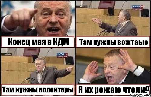 Конец мая в КДМ Там нужны вожтаые Там нужны волонтеры Я их рожаю чтоли?, Комикс жиреновский