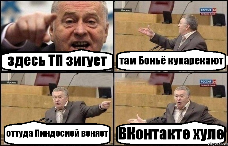 здесь ТП зигует там Боньё кукарекают оттуда Пиндосией воняет ВКонтакте хуле, Комикс Жириновский