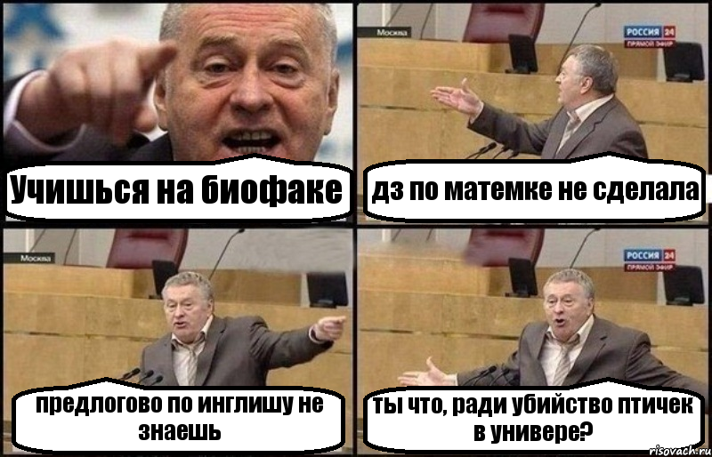 Учишься на биофаке дз по матемке не сделала предлогово по инглишу не знаешь ты что, ради убийство птичек в универе?, Комикс Жириновский