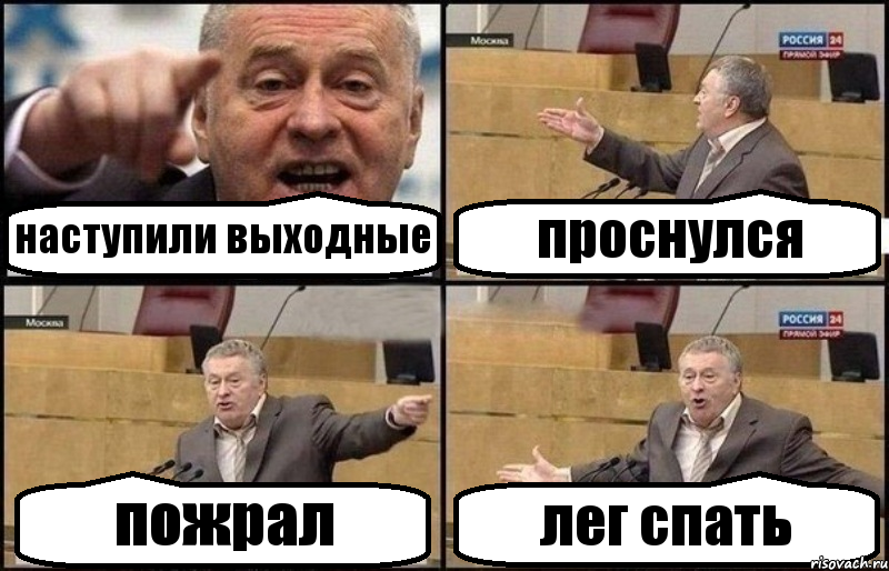 наступили выходные проснулся пожрал лег спать, Комикс Жириновский