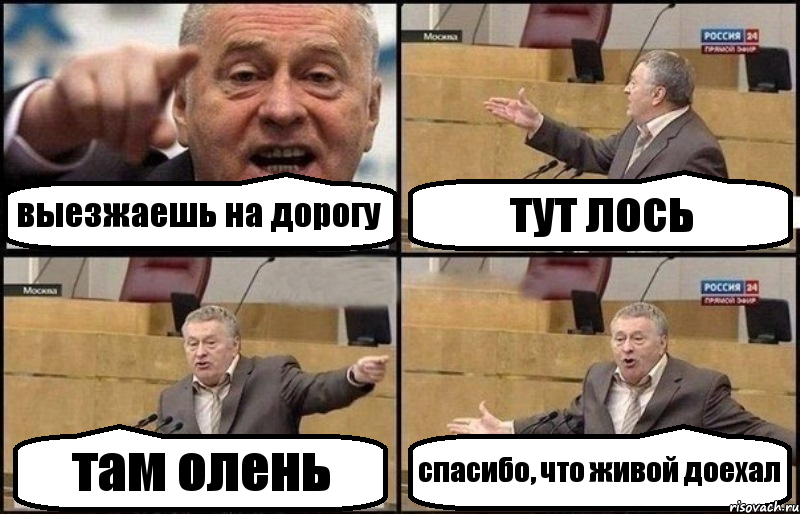 выезжаешь на дорогу тут лось там олень спасибо, что живой доехал, Комикс Жириновский