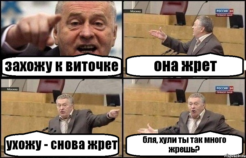 захожу к виточке она жрет ухожу - снова жрет бля, хули ты так много жрешь?, Комикс Жириновский