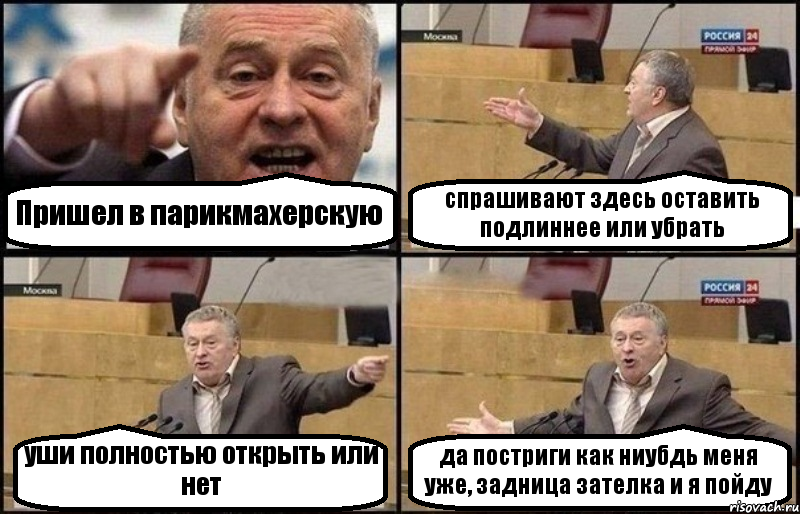 Пришел в парикмахерскую спрашивают здесь оставить подлиннее или убрать уши полностью открыть или нет да постриги как ниубдь меня уже, задница зателка и я пойду, Комикс Жириновский