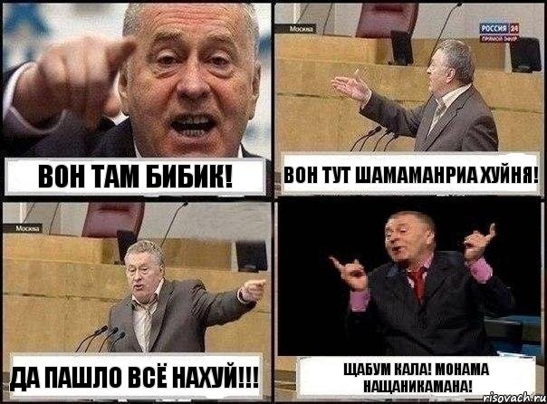 Вон там бибик! ВОН ТУТ ШАМАМАНРИА ХУЙНЯ! ДА ПАШЛО ВСЁ НАХУЙ!!! Щабум кала! Монама НАЩАНИКАМАНА!, Комикс Жириновский клоуничает