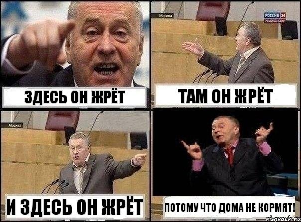 здесь он жрёт там он жрёт и здесь он жрёт Потому что дома не кормят!, Комикс Жириновский клоуничает