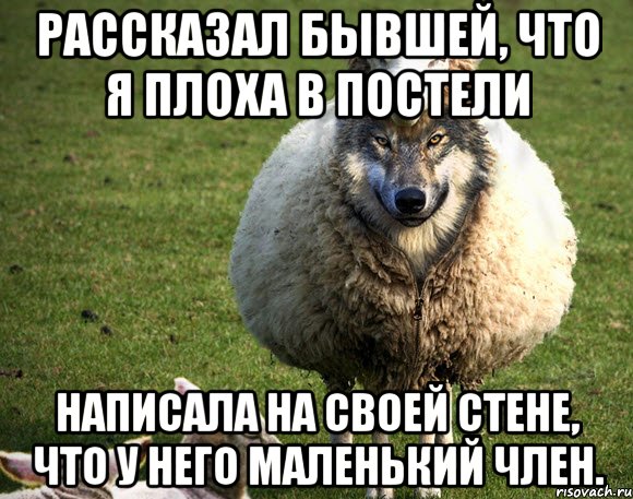 рассказал бывшей, что я плоха в постели написала на своей стене, что у него маленький член., Мем Злая Овца