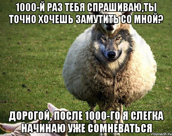 1000-й раз тебя спрашиваю,ты точно хочешь замутить со мной? Дорогой, после 1000-го я слегка начинаю уже сомневаться, Мем Злая Овца