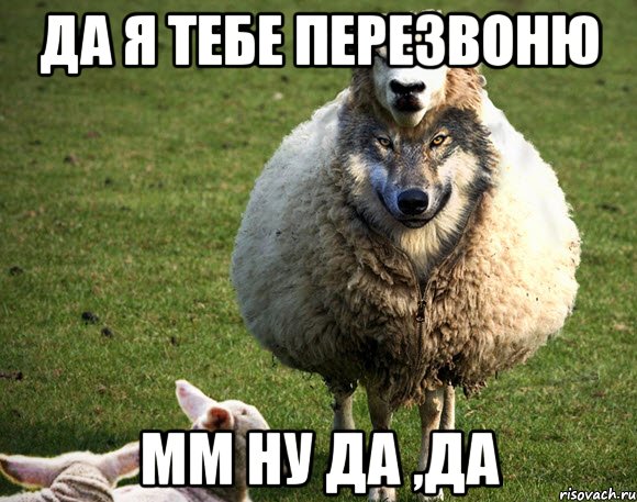 да я тебе перезвоню мм ну да ,да, Мем Злая Овца