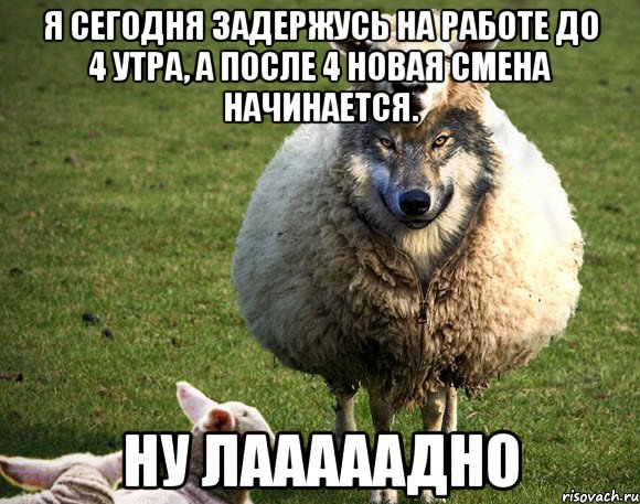 Я сегодня задержусь на работе до 4 утра, а после 4 новая смена начинается. Ну лааааадно