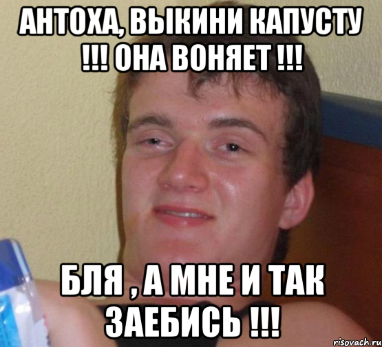 Антоха, выкини капусту !!! Она воняет !!! Бля , а мне и так заебись !!!, Мем 10 guy (Stoner Stanley really high guy укуренный парень)