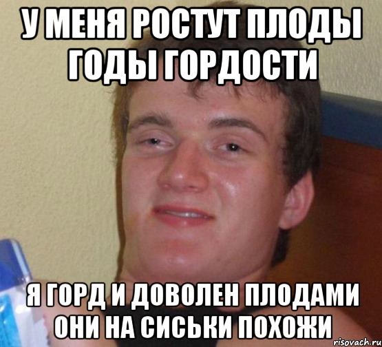 у меня ростут плоды годы гордости я горд и доволен плодами Они на сиськи похожи, Мем 10 guy (Stoner Stanley really high guy укуренный парень)