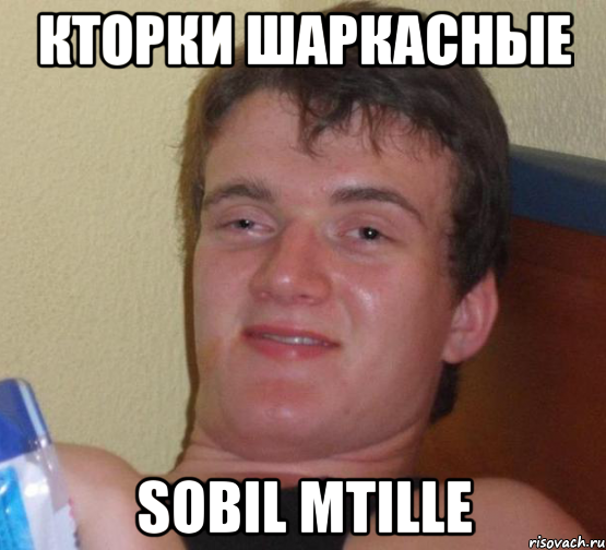 Кторки Шаркасные Sobil Mtille, Мем 10 guy (Stoner Stanley really high guy укуренный парень)