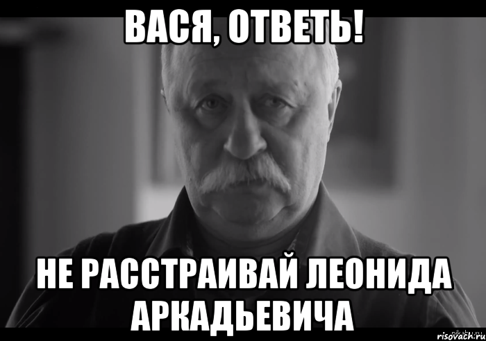 Вася, ответь! не расстраивай Леонида Аркадьевича, Мем Не огорчай Леонида Аркадьевича