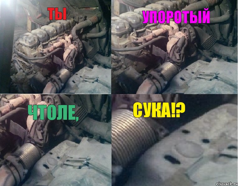 ТЫ УПОРОТЫЙ ЧТОЛЕ, СУКА!?, Комикс 123