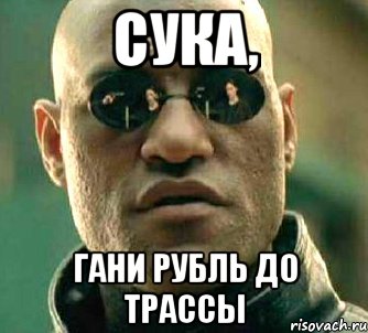 Сука, Гани рубль до трассы, Мем  а что если я скажу тебе