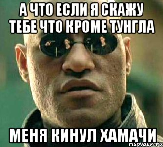 А что если я скажу тебе что кроме тунгла меня кинул хамачи, Мем  а что если я скажу тебе