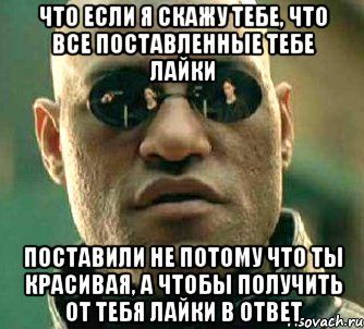 Что если я скажу тебе, что все поставленные тебе лайки Поставили не потому что ты красивая, а чтобы получить от тебя лайки в ответ, Мем  а что если я скажу тебе