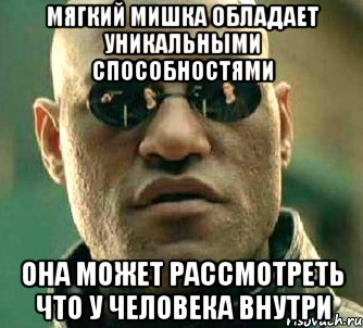 Мягкий мишка обладает уникальными способностями она может рассмотреть что у человека внутри, Мем  а что если я скажу тебе