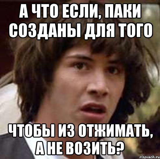 А что если, паки созданы для того чтобы из отжимать, а не возить?, Мем А что если (Киану Ривз)