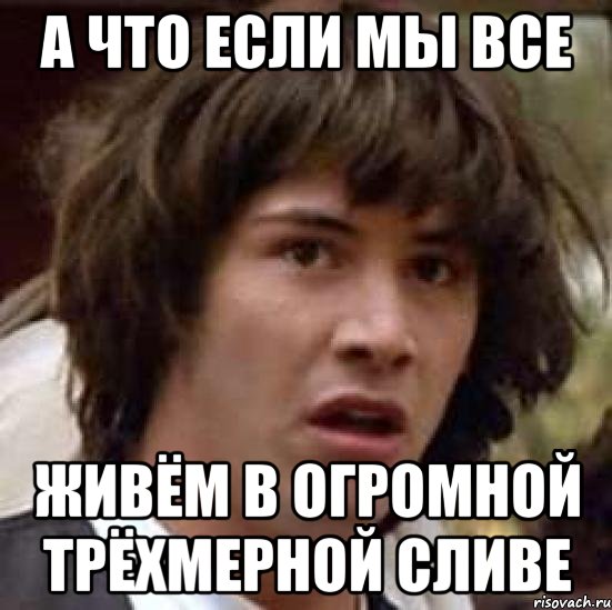 а что если мы все живём в огромной трёхмерной сливе, Мем А что если (Киану Ривз)