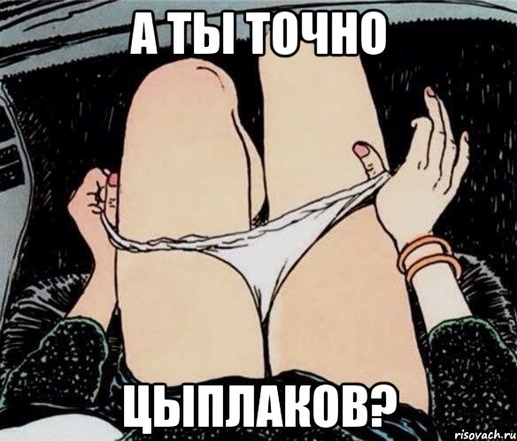 А ТЫ ТОЧНО ЦЫПЛАКОВ?, Мем А ты точно