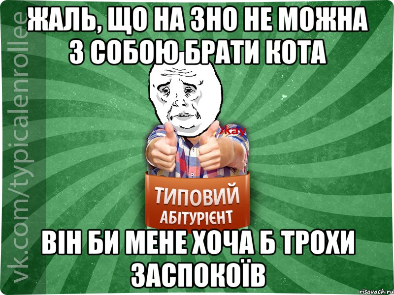 Жаль, що на ЗНО не можна з собою брати кота він би мене хоча б трохи заспокоїв, Мем абтура4