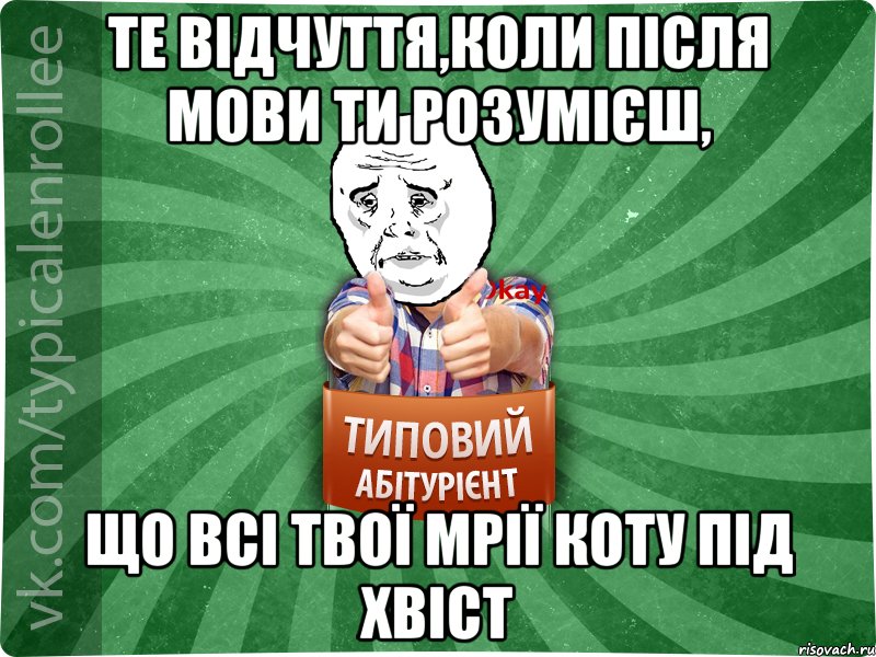 Те відчуття,коли після мови ти розумієш, що всі твої мрії коту під хвіст, Мем абтура4