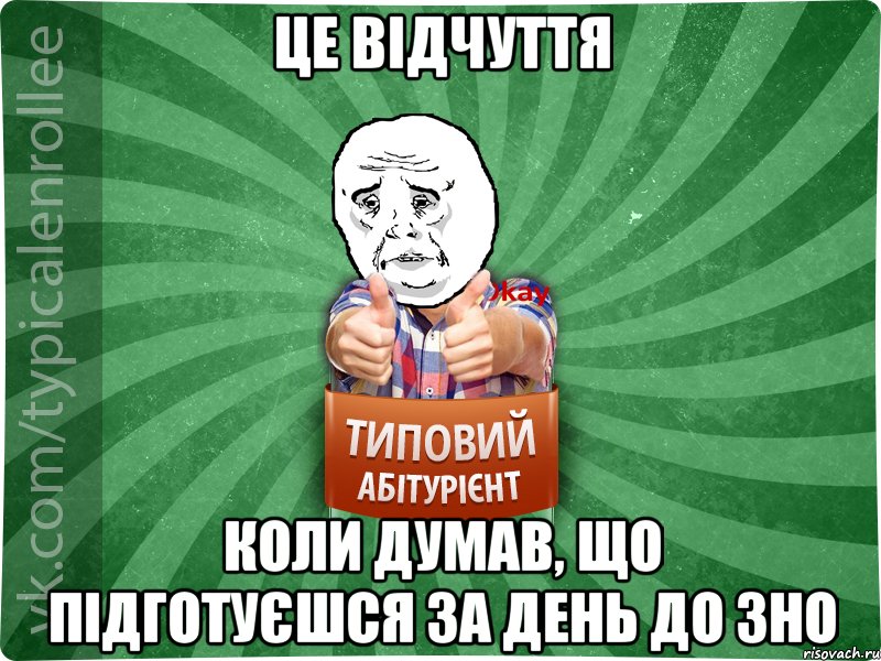 Це відчуття коли думав, що підготуєшся за день до ЗНО, Мем абтура4