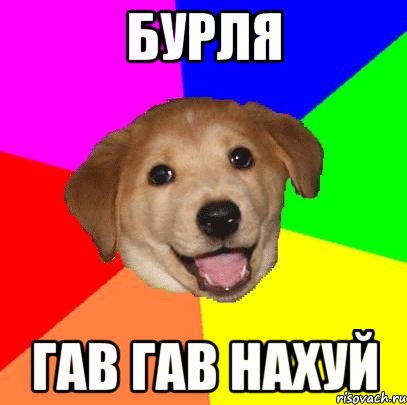 бурля гав гав нахуй, Мем Advice Dog