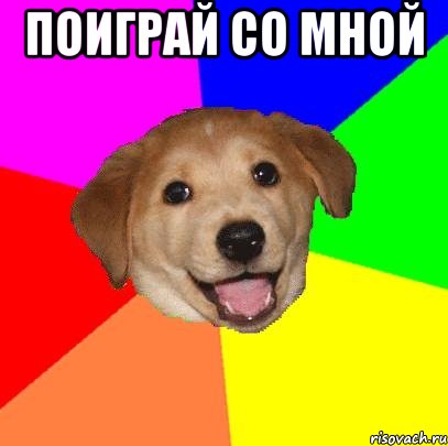 поиграй со мной , Мем Advice Dog