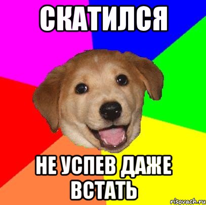 Скатился Не успев даже встать, Мем Advice Dog