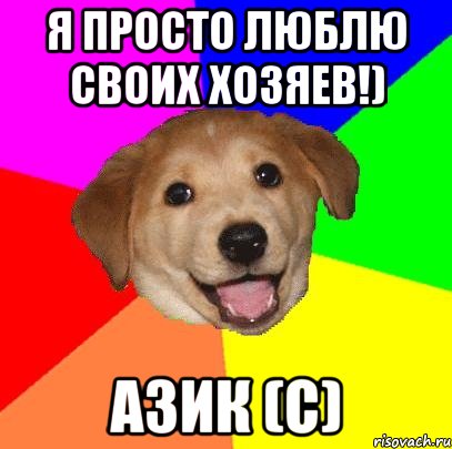 Я просто люблю своих хозяев!) Азик (c), Мем Advice Dog