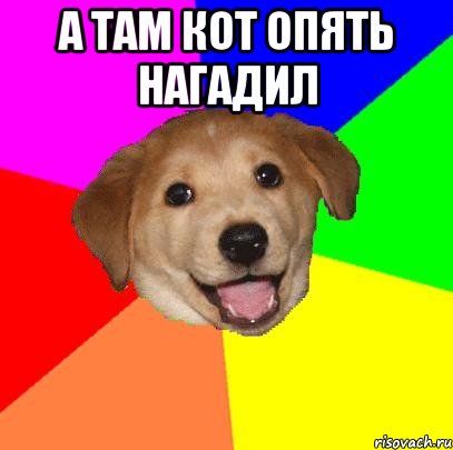 а там кот опять нагадил , Мем Advice Dog