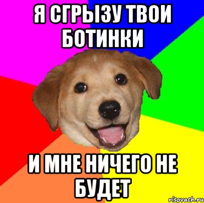 я сгрызу твои ботинки и мне ничего не будет, Мем Advice Dog