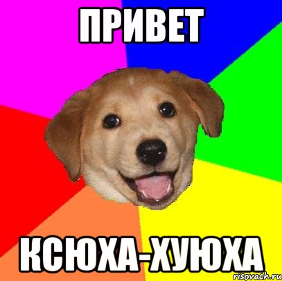 Привет Ксюха-хуюха, Мем Advice Dog