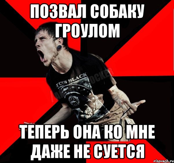 Позвал собаку гроулом Теперь она ко мне даже не суется, Мем Агрессивный рокер