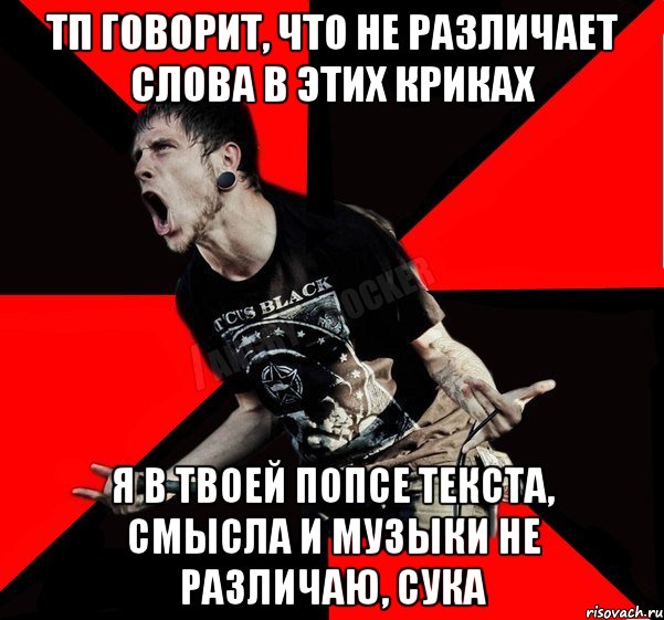 ТП говорит, что не различает слова в этих криках Я в твоей попсе текста, смысла и музыки не различаю, сука