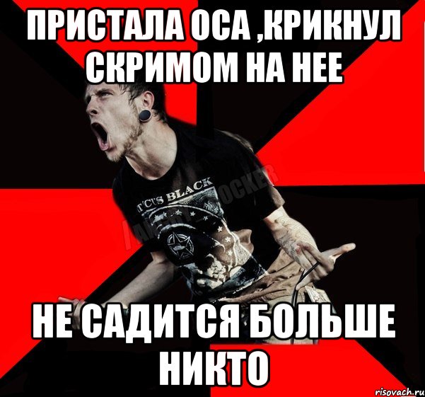 Пристала оса ,крикнул скримом на нее не садится больше никто, Мем Агрессивный рокер