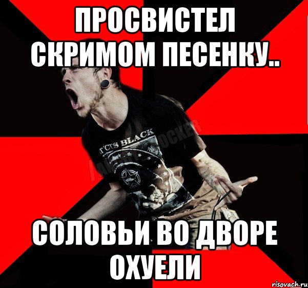 просвистел скримом песенку.. соловьи во дворе охуели, Мем Агрессивный рокер