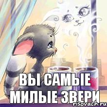 вы самые милые звери