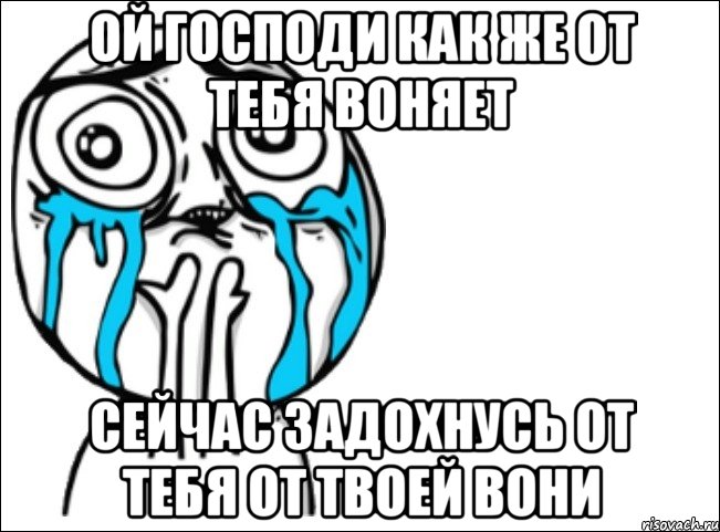 ой господи как же от тебя воняет Сейчас задохнусь от тебя от твоей вони, Мем Это самый