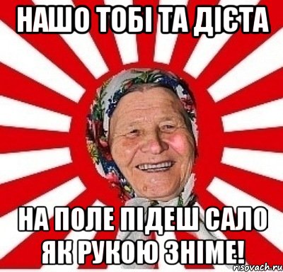 НАШО ТОБІ ТА ДІЄТА НА ПОЛЕ ПІДЕШ САЛО ЯК РУКОЮ ЗНІМЕ!, Мем  бабуля