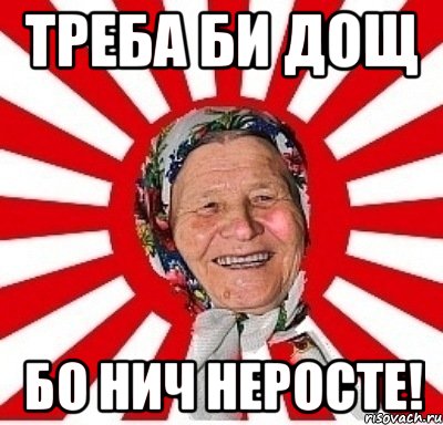 треба би дощ бо нич неросте!, Мем  бабуля