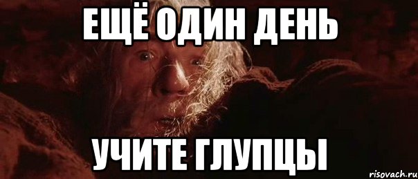 ещё ОДИН день УЧИТЕ ГЛУПЦЫ