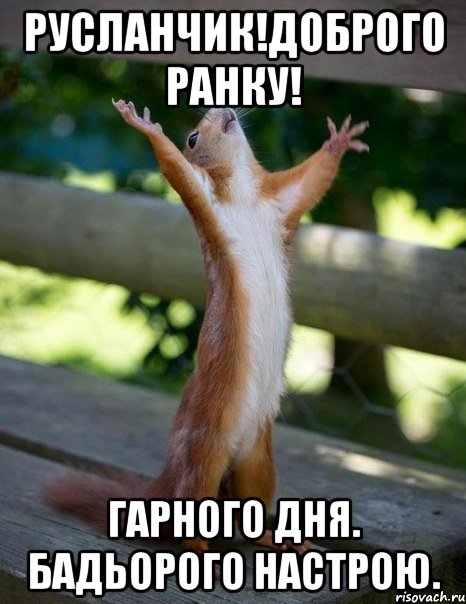 Русланчик!Доброго ранку! Гарного дня. Бадьорого настрою., Мем    белка молится