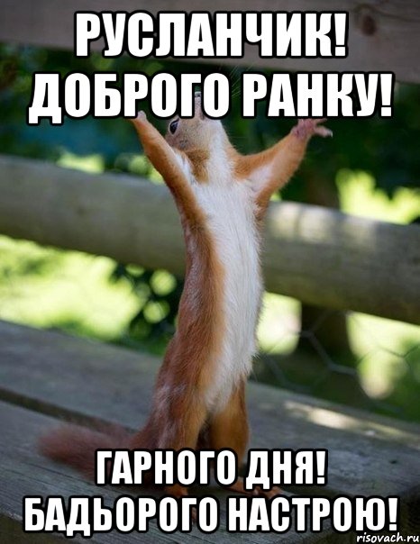Русланчик! Доброго ранку! Гарного дня! Бадьорого настрою!, Мем    белка молится