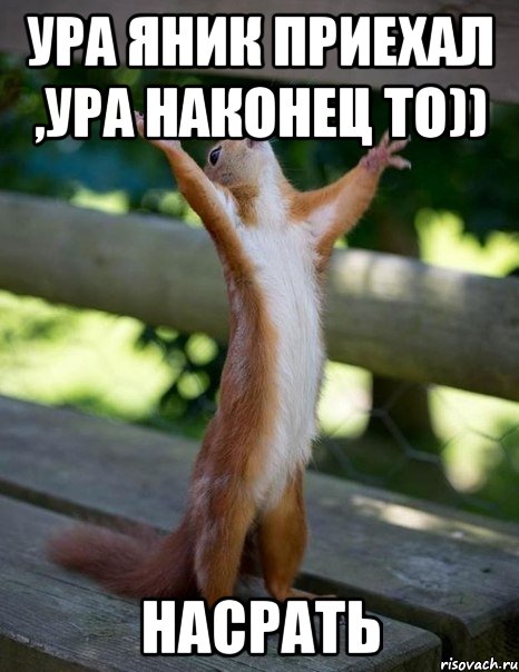 ура Яник приехал ,Ура наконец то)) насрать, Мем    белка молится
